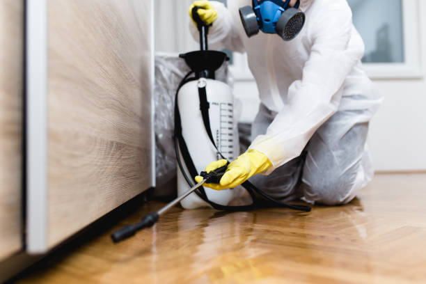 Best Pest Prevention Services  in Lodi, OH