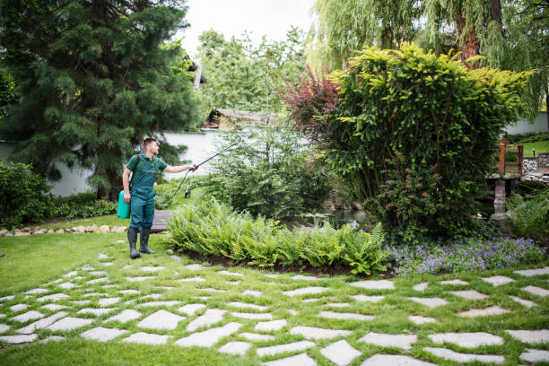 Best Commercial Pest Control Services  in Lodi, OH