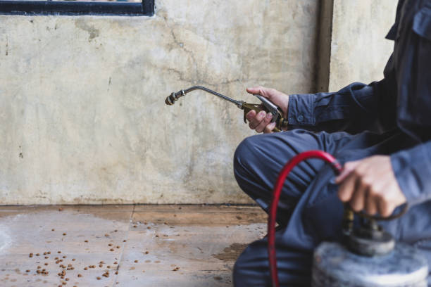 Best Affordable Pest Control Services  in Lodi, OH