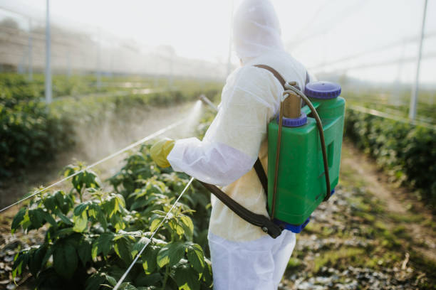 Best Wasp Removal Services  in Lodi, OH